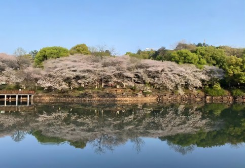 江西省專業(yè)交通技術(shù)服務(wù)公司_華咨航評和交評的核心優(yōu)勢有哪些？