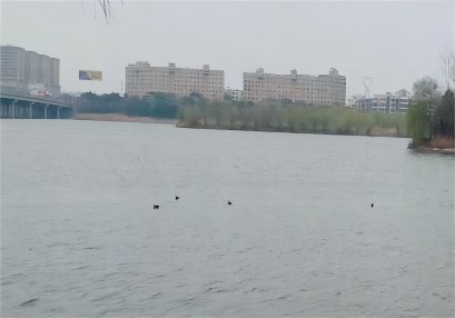 岳陽航評案例，岳陽通航安全保障方案，通航安全評估